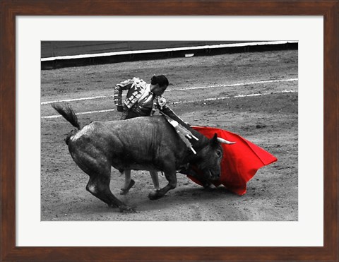 Framed Red Matador III Print