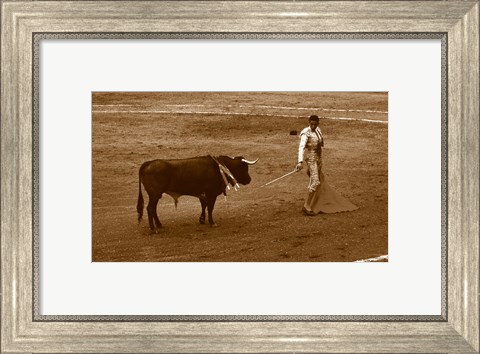 Framed Matador and Bull Print