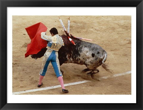 Framed Matador fighting a bull, Plaza de Toros, Ronda, Spain Print