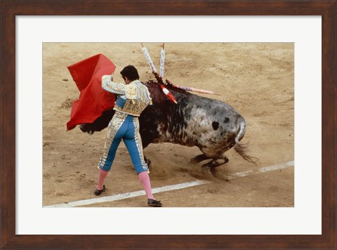 Framed Matador fighting a bull, Plaza de Toros, Ronda, Spain Print