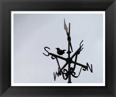 Framed Weathervane on the McKee Clock, Bangor Print