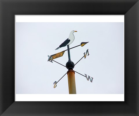 Framed Seagull Weathervane Print