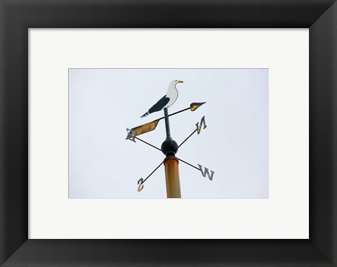 Framed Seagull Weathervane Print