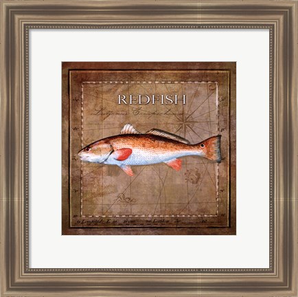 Framed Ocean Fish IX Print