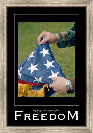 Framed Freedom Affirmation Poster, USAF Print