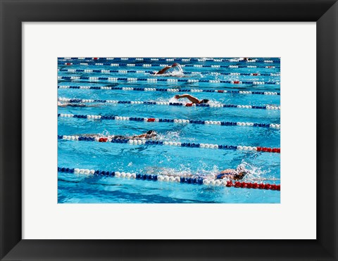 Framed High angle view of people swimming in a swimming pool, International Swimming Hall of Fame, Fort Lauderdale, Florida, USA Print