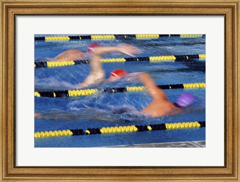 Framed Rear view of three swimmers racing in a swimming pool Print