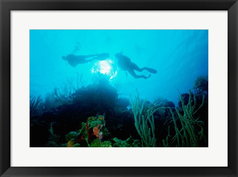 Framed Low angle view of two scuba divers swimming underwater, Belize Print