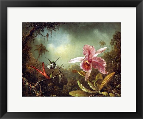 Framed Orchid with Two Hummingbirds 1871 Print