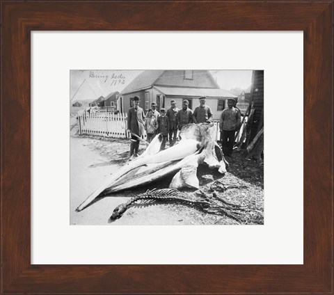 Framed Sperm Whale Head Print