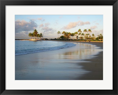 Framed Waikiki Beach And Palm Trees Print