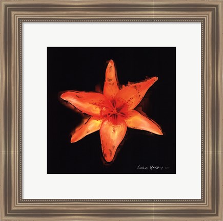 Framed Vibrant Flower VI Print