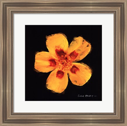 Framed Vibrant Flower X Print