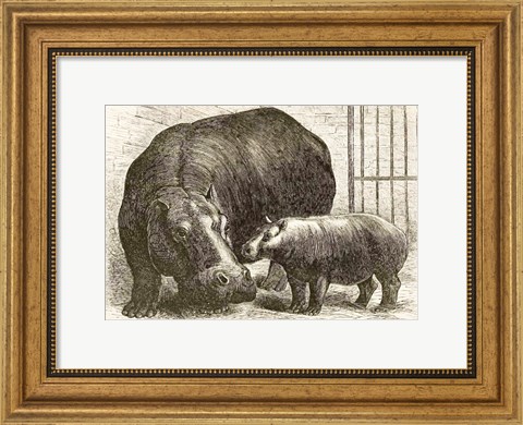 Framed Adhela and Guy Fawkes 1873 Print