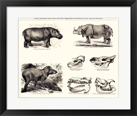 Framed Brockhaus and Efron Encyclopedic Dictionary Print