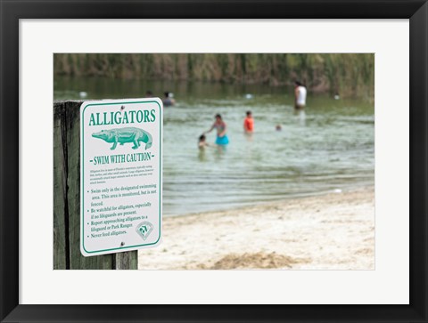 Framed Alligators warning sign at the lakeside, Florida, USA Print