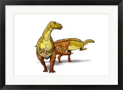 Framed Nanyangosaurus Print