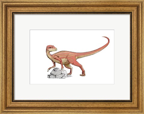 Framed Abrictosaurus Print