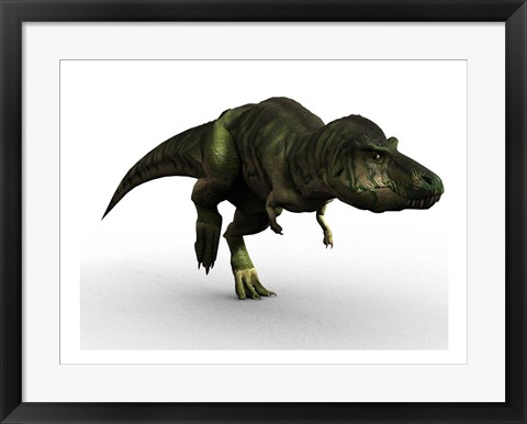 Framed T Rex Print