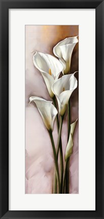 Framed CALLAS GRACIEUX II Print