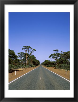 Framed Road passing through a forest, Western Australia, Australia Print