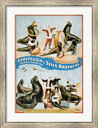 Framed Forepaugh &amp; Sells Brothers Print