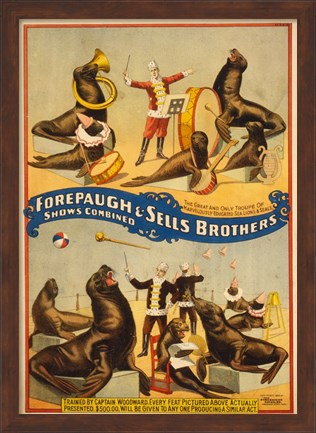 Framed Sells Brothers Sea Lion Circus Print