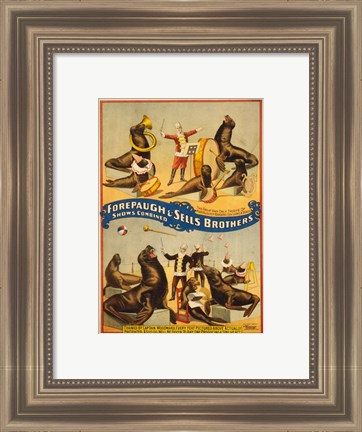 Framed Sells Brothers Sea Lion Circus Print