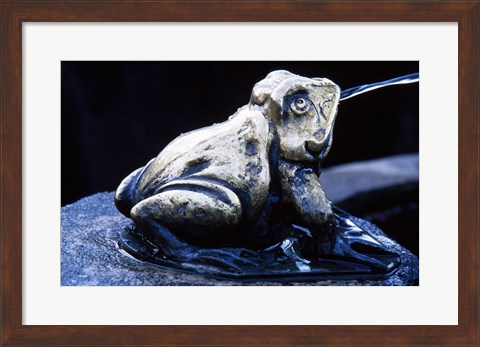 Framed Canada, British Columbia,  Butchart Gardens, sculpture frog, fountain Print