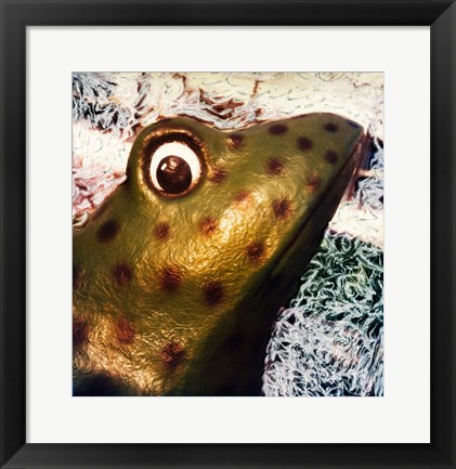 Framed Profile of playground frog Print