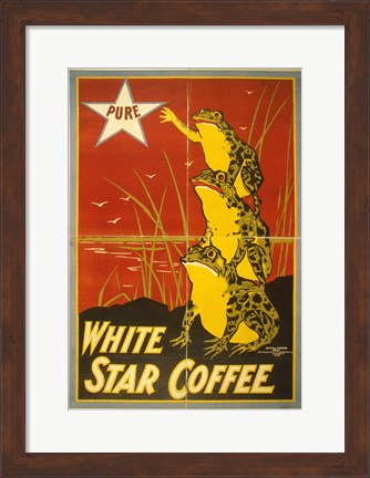 Framed White Star Coffee Frogs Print