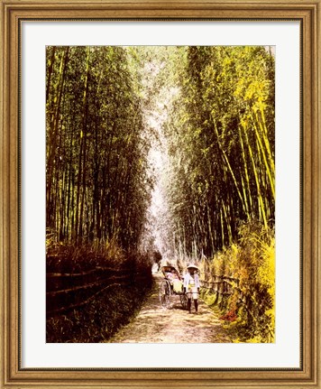 Framed Bamboo Path Print