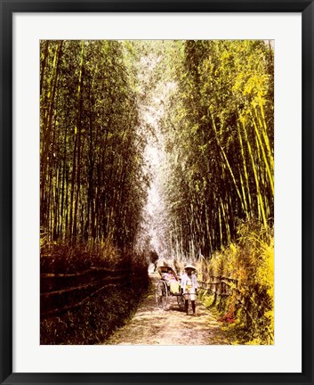 Framed Bamboo Path Print