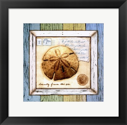 Framed Sea Treasures XI Print