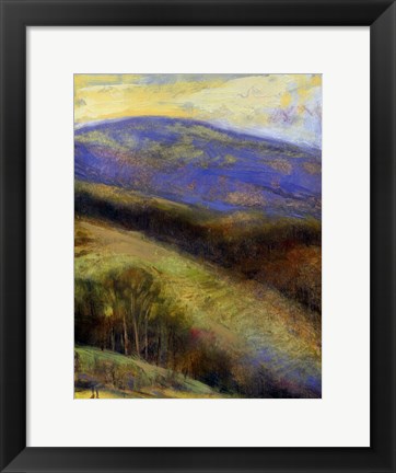 Framed Mountain View III Print