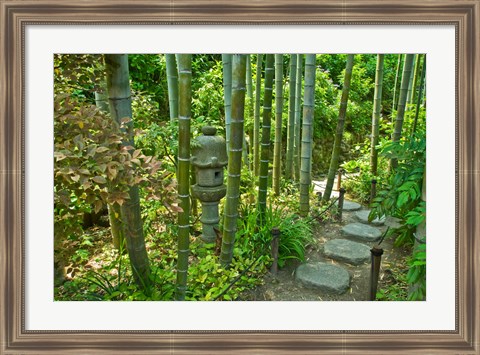 Framed Hasedera-Bamboo Grove Print