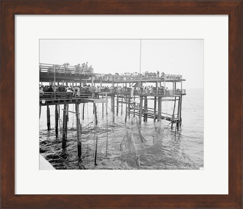 Framed Hauling the Nets, Young&#39;s Pier, Atlantic City, NJ Print