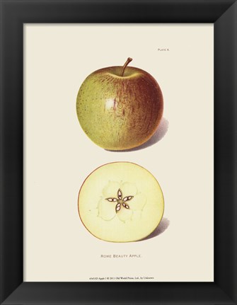 Framed Apple I Print