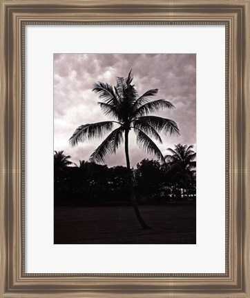 Framed Palms At Night II Print