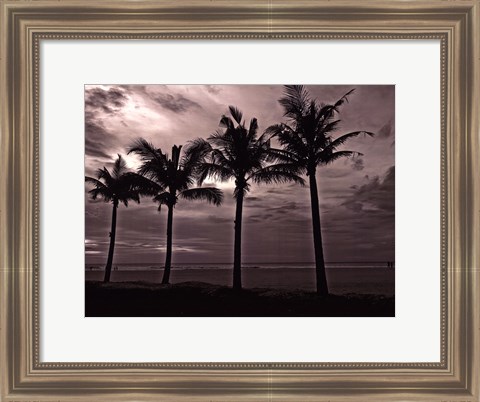 Framed Palms At Night VI Print