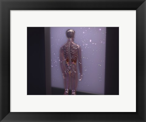 Framed Rear view of a human skeleton Print