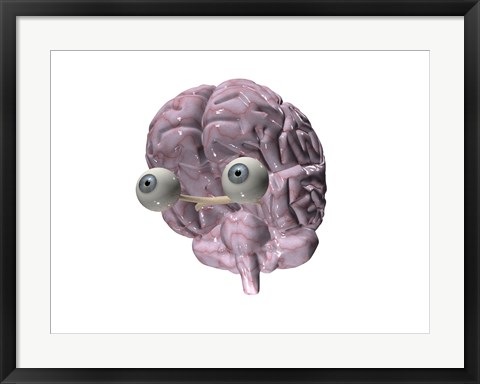 Framed Close-up of a human brain with eye balls Print