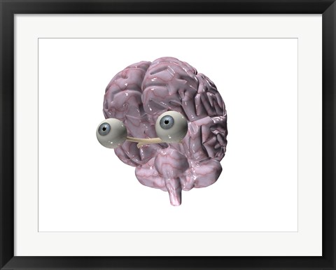 Framed Close-up of a human brain with eye balls Print