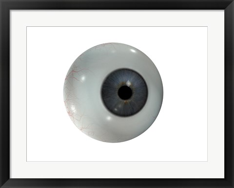 Framed Close-up of the human eyeball frontal view Print