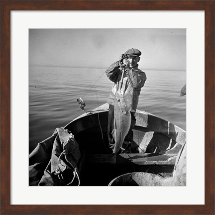 Framed Hauling in a cod aboard a Portuguese fishing dory off Cape Cod, Massachusetts Print