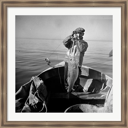 Framed Hauling in a cod aboard a Portuguese fishing dory off Cape Cod, Massachusetts Print