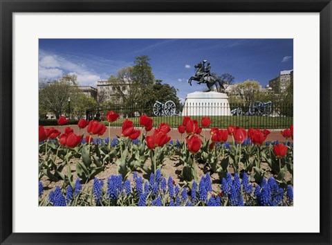 Framed Andrew Jackson Statue, Washington D.C., USA Print