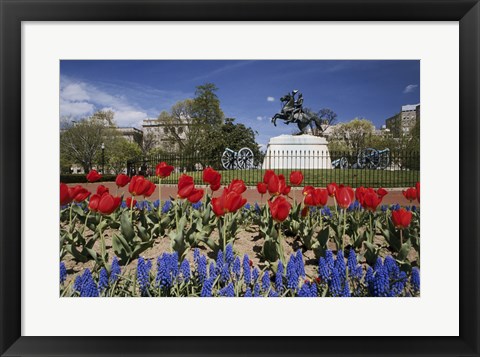 Framed Andrew Jackson Statue, Washington D.C., USA Print