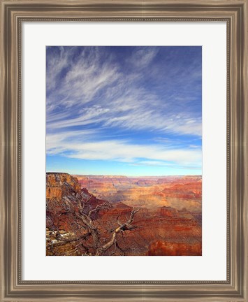 Framed Grand Canyon Arizona Print