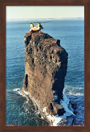 Framed Labrador helicopter landing Bell Island Print